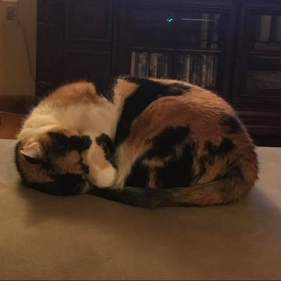 Meet your Posher, Lynne - Picture 1 of 1